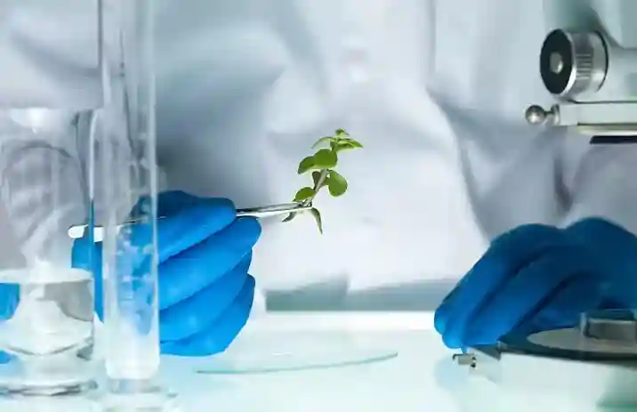 Laboratory Testing of Ingredients in Neurovera 